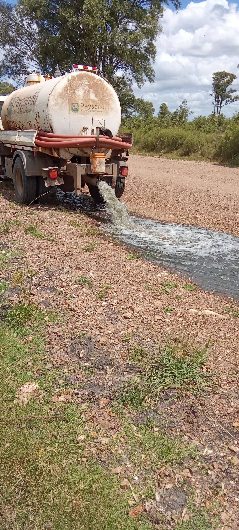 Día del Ambiente: colectivo de Guichón denuncia «incumplimientos» y «negligencia» de «gobiernos territoriales»